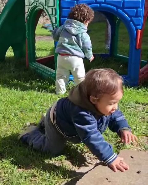 Bebês engatinhando no gramado ao lado do castelo