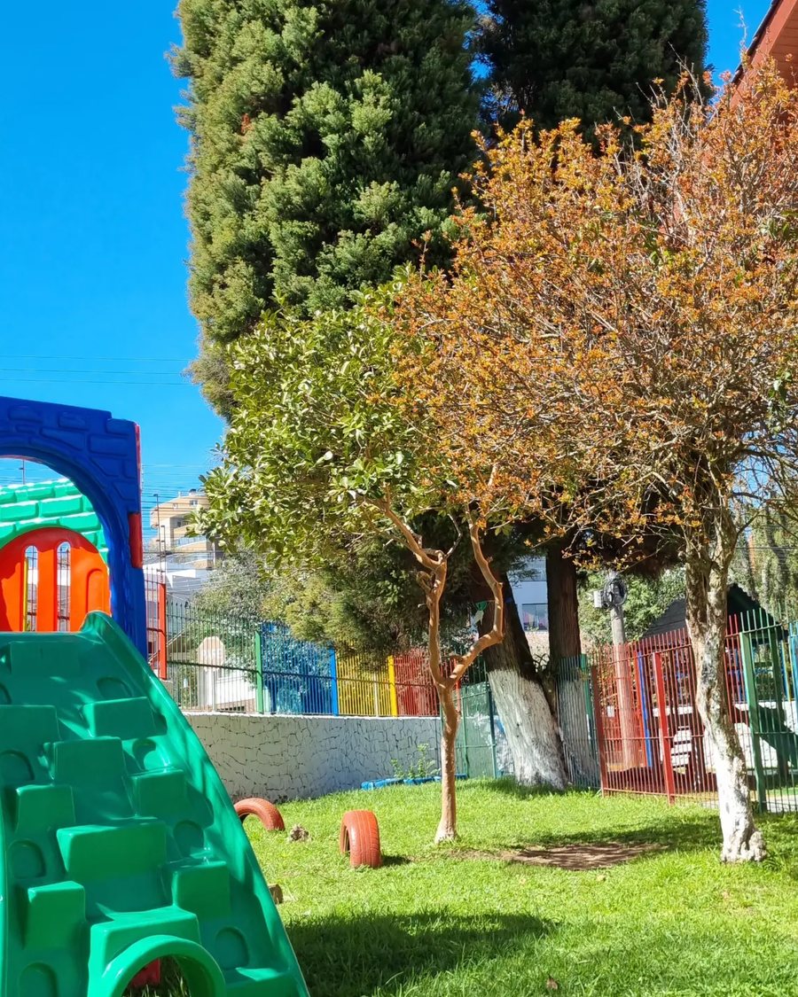 Pátio da Aquarela com gramado, árvores e o castelo de brinquedo